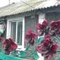 «Стальной Донбасс» и розы из снарядов: донецкий кузнец готовится к выставке в Москве (ФОТО+ВИДЕО) «Стальной Донбасс» и розы из снарядов: донецкий кузнец готовится к выставке в Москве (ФОТО+ВИДЕО)