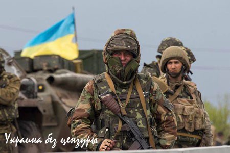 Почему наступление ВСУ обернется крахом: расклад сил в Донбассе (ФОТО) Почему наступление ВСУ обернется крахом: расклад сил в Донбассе (ФОТО)