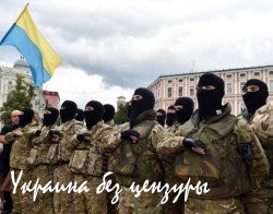 Правительство Украины лицемерно тратит на войну последние деньги (ВИДЕО)