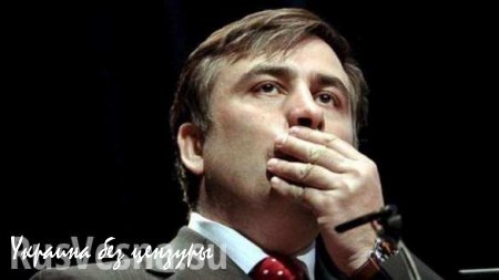 Грузия будет настаивать на объявлении Саакашвили в международный розыск