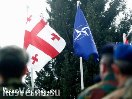 Спецпредставитель Тбилиси по отношениям с Россией о членстве Грузии в НАТО: «К чему иллюзии, мы никем не защищены»