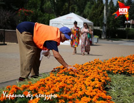 Заставят ли Россию сдать Донбасс? (ФОТО)