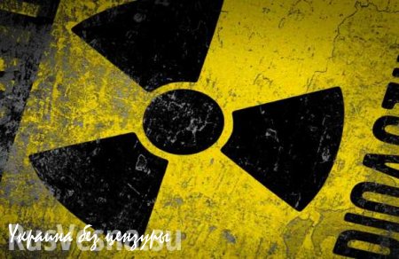 Times требует у ДНР открыть «тайник с ядерной бомбой»