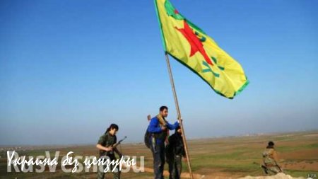 Сирийские курды заявили о готовности сотрудничать Асадом
