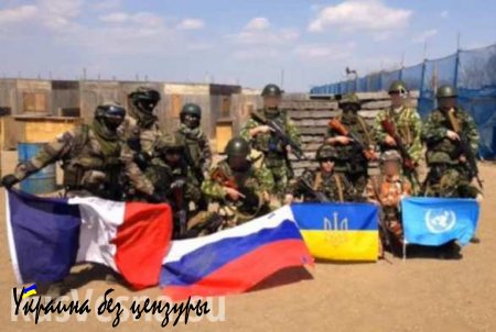 В Японии культ украинской армии (ВИДЕО А.Шария)