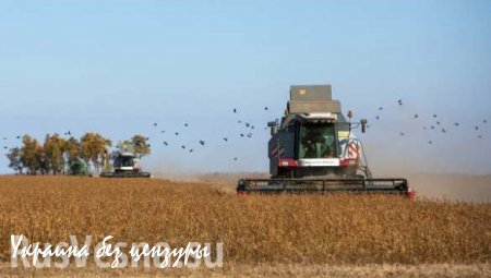Немецкий союз фермеров: Рынок РФ для аграриев ФРГ практически потерян