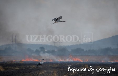 Женщины ЛНР на руинах аэропорта и коричневые облака в Запорожье: фото дня