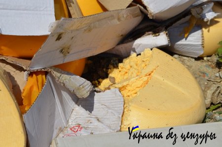 Опубликованы первые фото уничтоженных санкционных продуктов в России