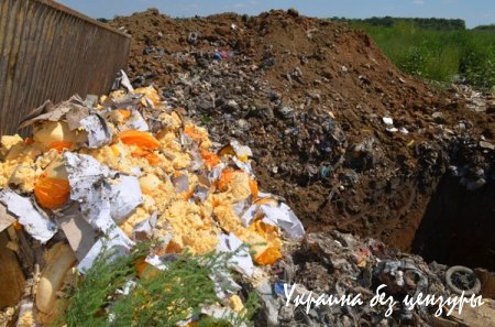 Опубликованы первые фото уничтоженных санкционных продуктов в России