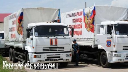 МЧС РФ в августе планирует направить в Донбасс три гуманитарных конвоя