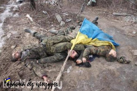 Более 50 погибших жителей и почти тысяча убитых украинских военных: год назад начались бои за Иловайск (ФОТО)