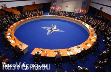 Граждане стран НАТО и не думают воевать ради союзников