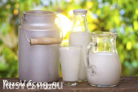 N24: Из-за эмбарго России в Германии киснет молоко