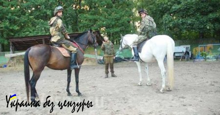 Hi-Tech украинской армии: в «АТО» отправят конницу (продолжение истории)