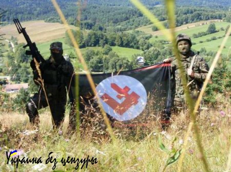 «Нашёл бандеровца, убей!» — польские национал-патриоты открыли охоту на необандеровцев (ВИДЕО+ФОТО)