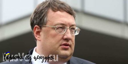 Геращенко решил, что купить водительские права на Украине станет теперь невозможно