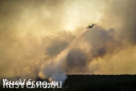 Пожар под Чернобылем тушат самолетами (ВИДЕО+ФОТО)