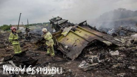 МИД РФ: Россия призывает страны обнародовать имеющуюся информацию о Boeing MH17