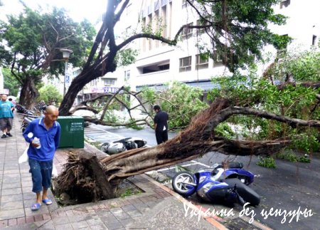 Последствия супертайфуна на Тайване: фото, видео