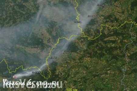 Брянскую область заволокло чернобыльским дымом