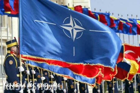 Польский политик: В НАТО нас считают вторым сортом