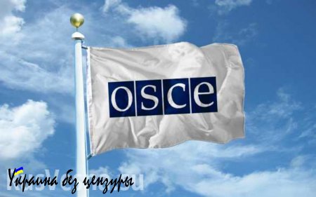 Донецк призвал ОБСЕ и СЦКК немедленно расследовать инцидент с атакой ВСУ