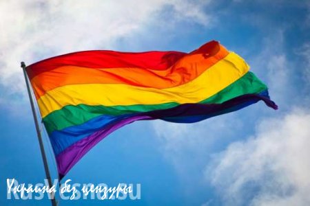 «Евромайдановцы» просят «пророссийских активистов» выступить против гей-парада