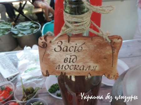 VIP-вагоны в поездах и светофор на пустыре: фото дня