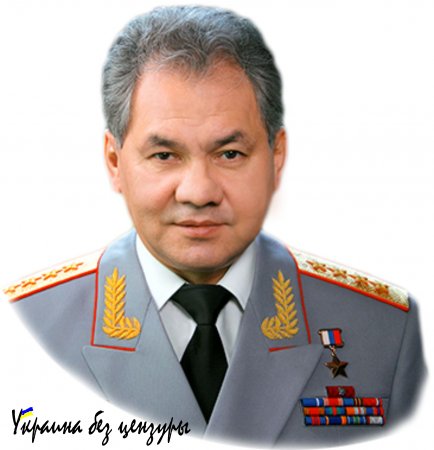 Опора Президента — опора России: Шойгу, Володин, Кадыров, Стрелков, Хирург, как цель информационной атаки на Путина (ВИДЕО)