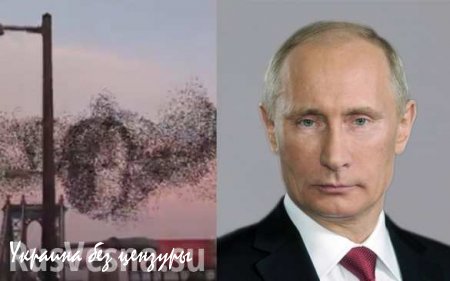В небе над Нью-Йорком появился живой портрет Путина (ВИДЕО)
