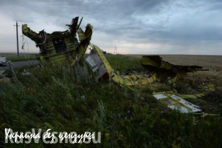 Власти Нидерландов отказались рассекретить документы по расследованию катастрофы MH17