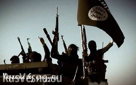 Депутат Европарламента: действия ИГИЛ могут быть выгодны США