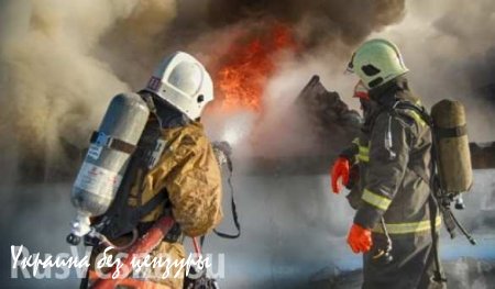 За прошедшие сутки спасатели МЧС ДНР ликвидировали 58 пожаров
