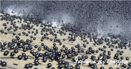 В Лос-Анджелесе с засухой борются с помощью черных шаров