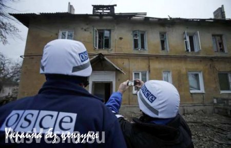Киев добивается «позорного изгнания» ОБСЕ с Донбасса — Басурин