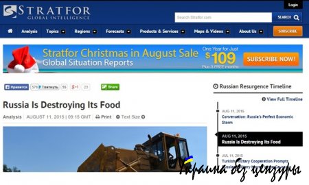 Stratfor предсказал последствия уничтожения продуктов в РФ