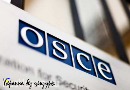 Официально: ответ «Русской Весны» на письмо миссии ОБСЕ на Украине о публикации информации о намерении миссии покинуть Донецк
