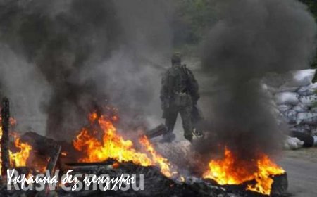 Военная ситуация в ДНР/ЛНР на утро 15 августа 2015 г.