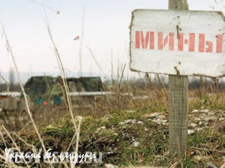 Киев отказался передать ДНР карты минных полей для открытия новых пунктов пропуска