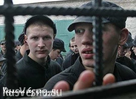 Украинские власти пополняют ряды ВСУ заключенными из Запорожья — разведка ДНР 