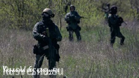 МГБ ДНР в ходе спецоперации обезвредило украинскую диверсионную группу