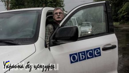 ОБСЕ вернет доверие жителей ДНР только при положительном влиянии на Минские переговоры — Морозова