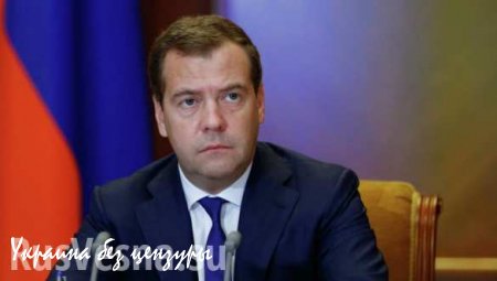 Медведеву подыщут пару