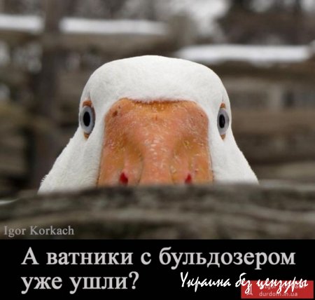 Не мы начали эту войну. Мемы на уничтожение санкционных гусей в России