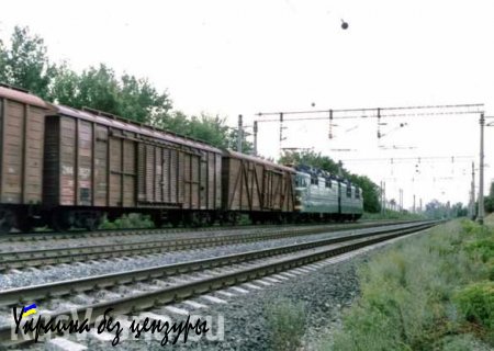В поезде из оккупированного Краматорска пытались провезти в Молдову 134 тонны отстрелянных гильз (ФОТО)