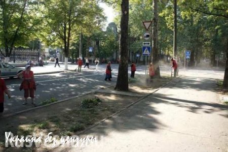 10 миллионов украинцев заставят мести улицы и рыть окопы в случае введение военного положения (ВИДЕО)