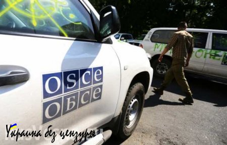 МИД РФ: представители миссии ОБСЕ на Украине подвергаются запугиваниям