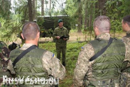Литва обучит украинских военных бою в городе и снайперской стрельбе