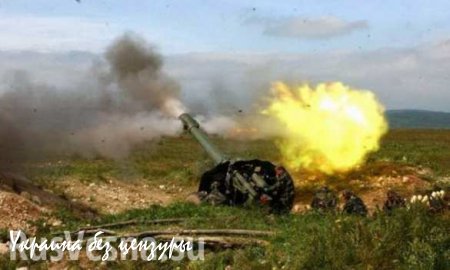 ВСУ за сутки 22 раза нарушили перемирие, по ДНР выпущено 90 снарядов, — Минобороны ДНР