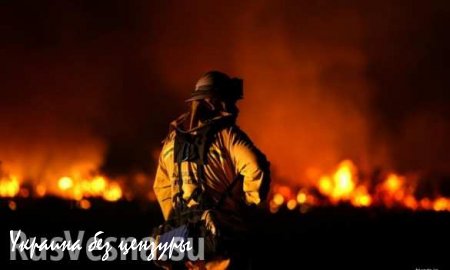 Подвиг аргентинских пожарных, сгорающих заживо (ВИДЕО)